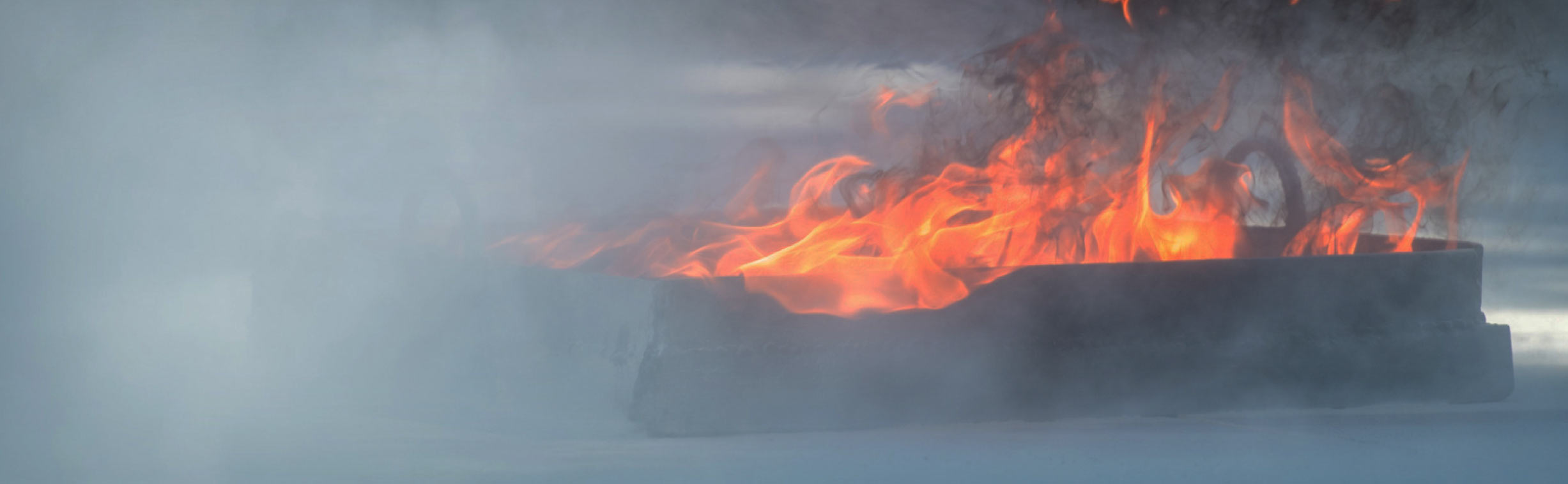 Tuleohutusülevaatus